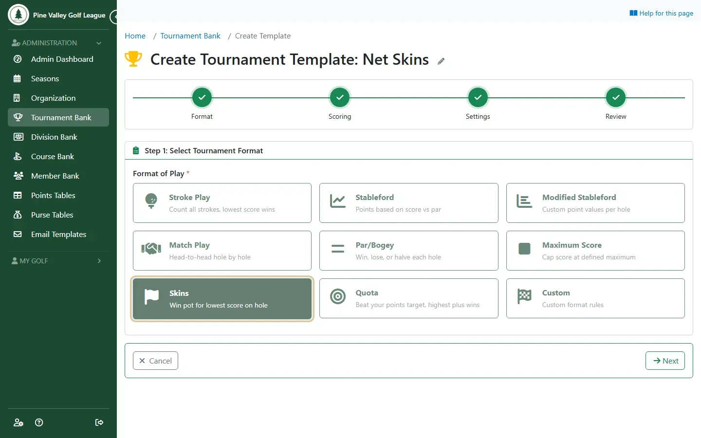 The template’s Format step with Skins chosen